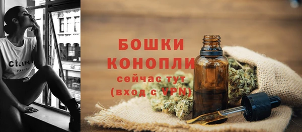 mix Гусиноозёрск