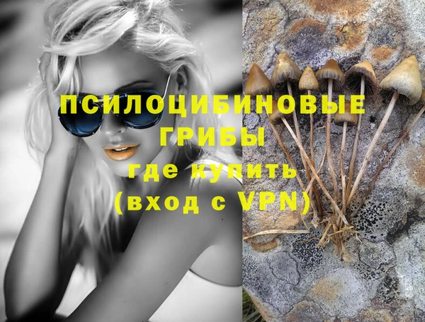 эйфоретик Вязьма